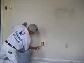 Painter Painting a Wall
